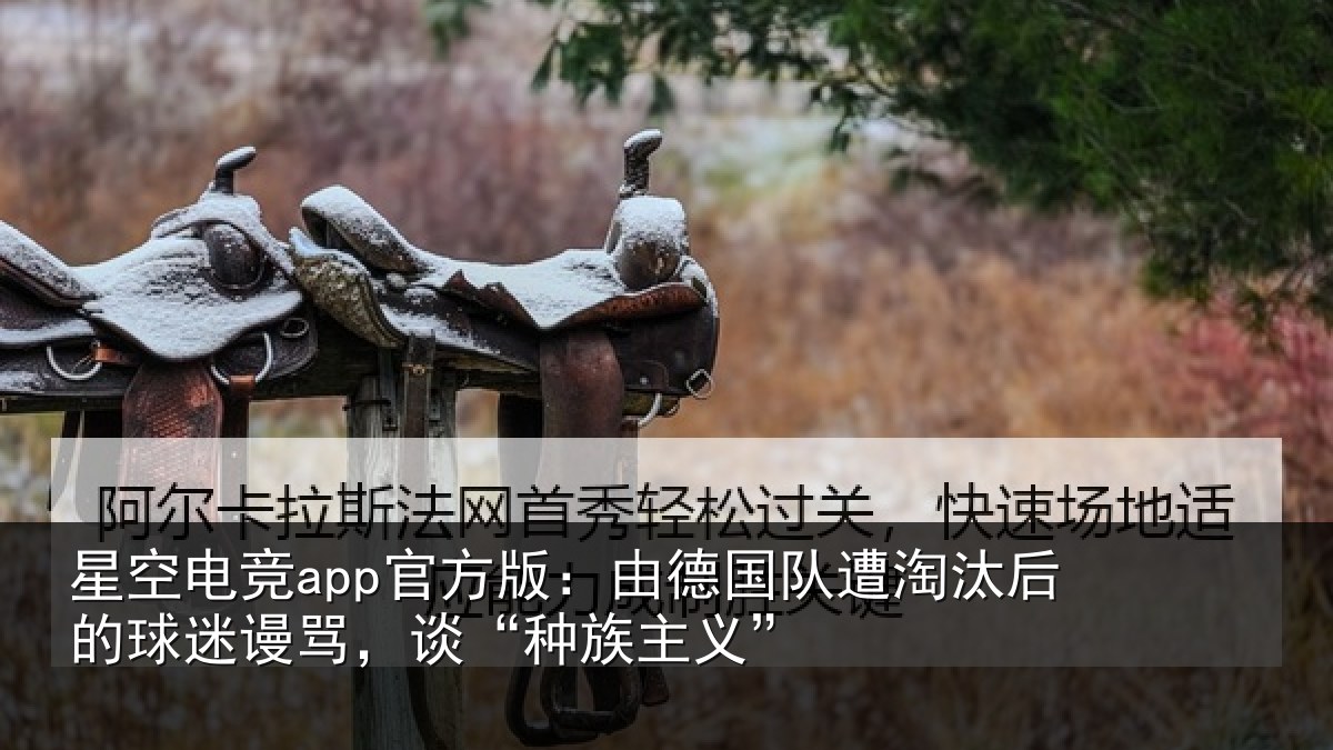 星空电竞app官方版:由德国队遭淘汰后的球迷谩骂,谈“种族主义”