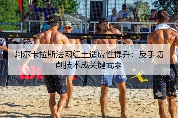 a-er-ka-la-si-fa-wang-hong-tu-shi-ying-xing-ti-sheng-fan-shou-qie-xiao-ji-shu-cheng-guan-jian-wu-qi-2-382.jpg