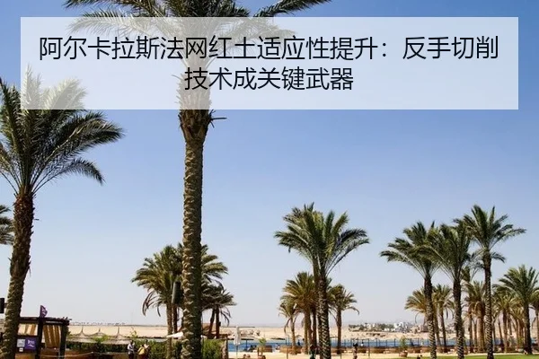 阿尔卡拉斯法网红土适应性提升：反手切削技术成关键武器