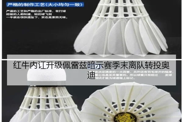 hong-niu-nei-hong-sheng-ji-pei-lei-zi-an-shi-sai-ji-mo-li-dui-zhuan-tou-ao-di-2-827.jpg